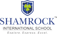 Cambridge international school in vijayawada